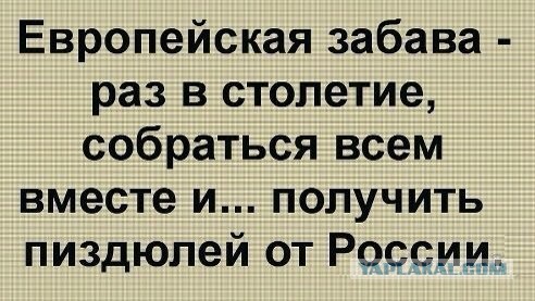 Прикольные картинки из сети