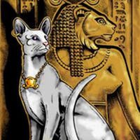 Кот. Просто кот