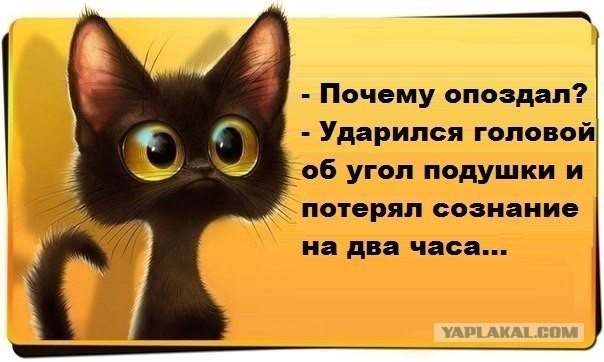 Веселые картинки