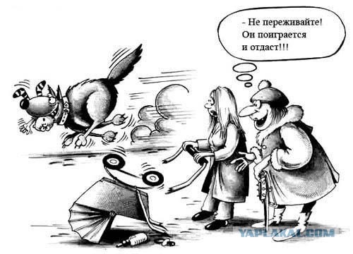 Хозяев бойцовых собак