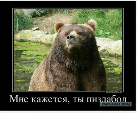 Немец заработал €56 млн. на сжигании санкционки