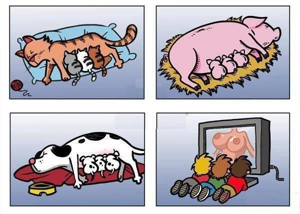 Поддержали девушку