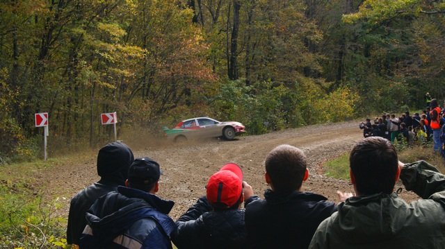 Симулятор ралли и профессиональный гонщик