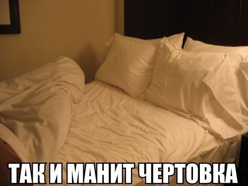 Приколы из сети