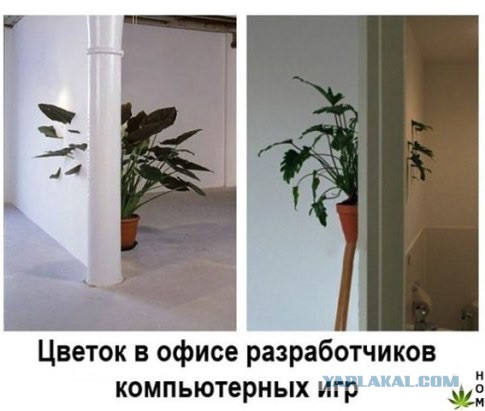 Забавные картинки из Сети