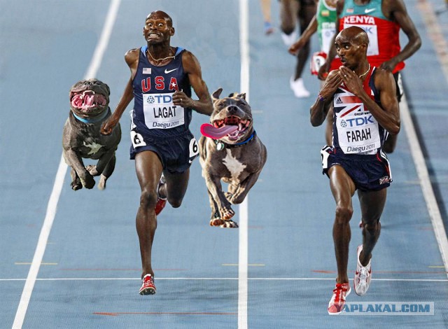 И добавить-то нечего...