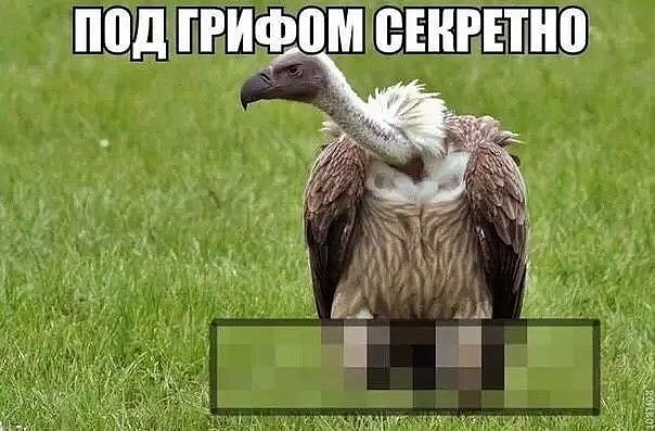 Ну раз пошла такая тема, про загадки, ловите.