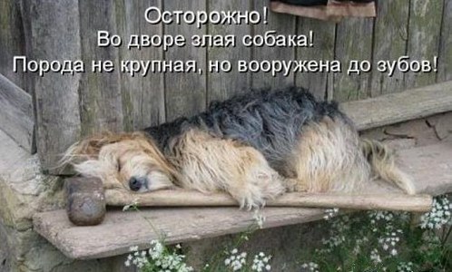 Подборка Картинок из сети