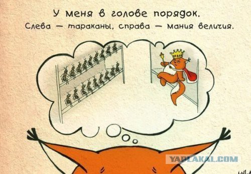 Смешные комментарии из социальных сетей 05.02.2016