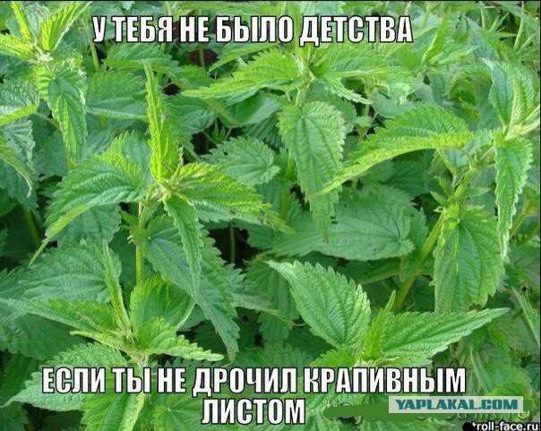 Абсурдный юмор ч.2
