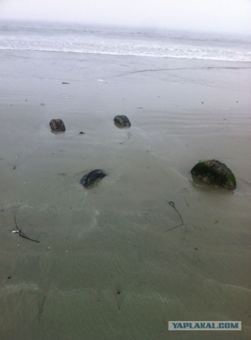 Неприятности разные, подборка. ч.2