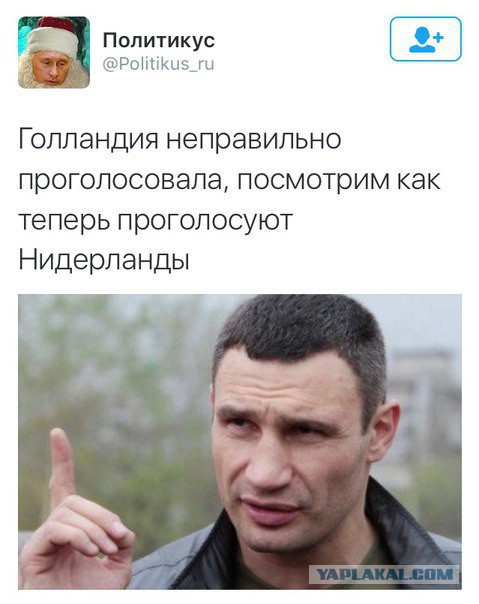 СМИ: 64% голландцев высказались против ассоциации Украины с ЕС