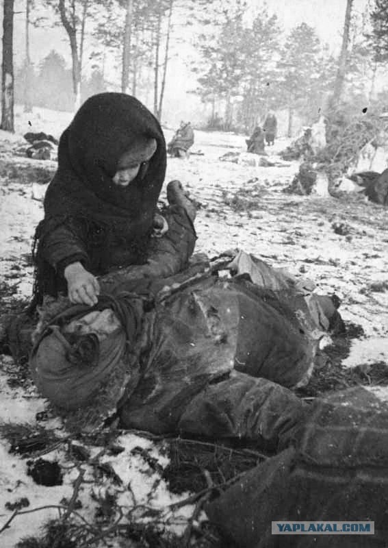 9 смельчаков, обманувших свою смерть