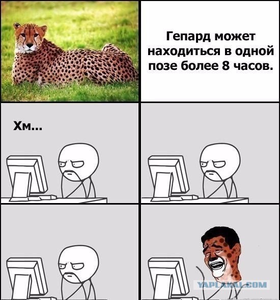 Соцсети - и смех и грех