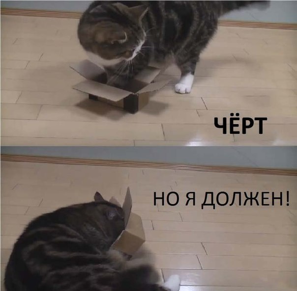 Мохнатые беспредельщики