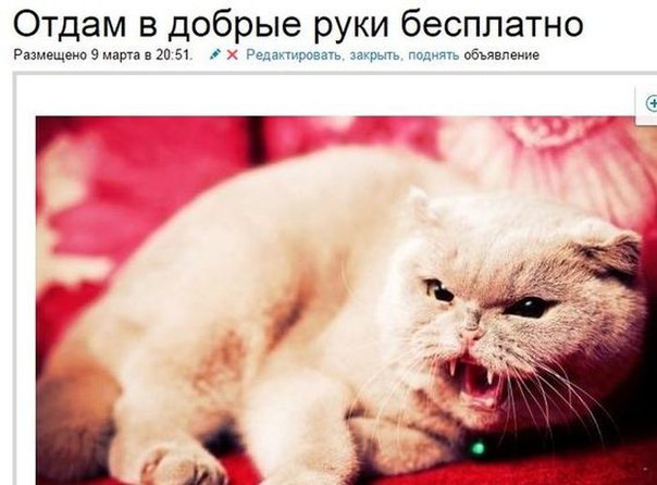 Подборка прикольных и веселых фото