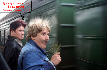 Фотожаба: сладкоежка