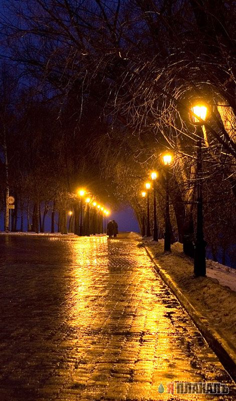 любительская фотография