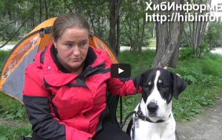 Опять ОСАГО. (Это уже предел...)