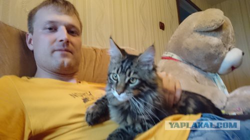 Мы пришли к вам из древних легенд. Мейн-куны