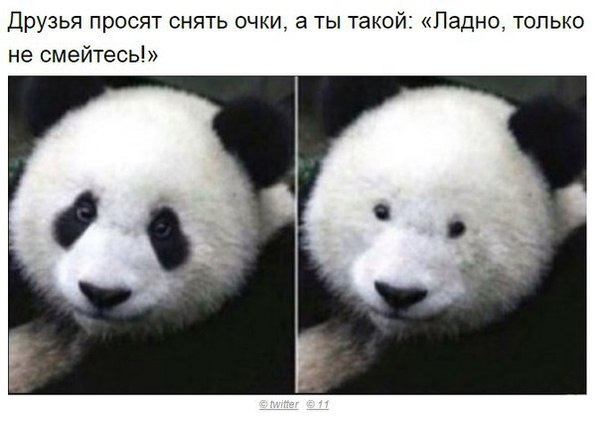 Смешные комментарии 02.10.2016