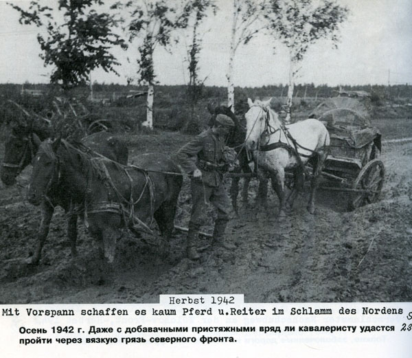 Волховский фронт. 1942. Взгляд с той стороны.