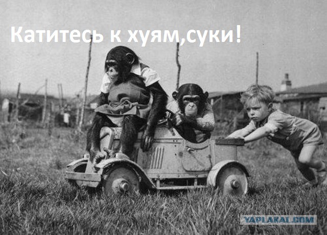 Дела давно минувших дней, Преданья старины глубокой (с)