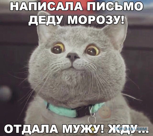 Порция картинок