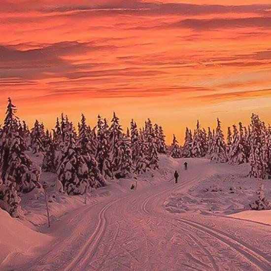 Моменты, запечатлённые на фото и просто позитив 5