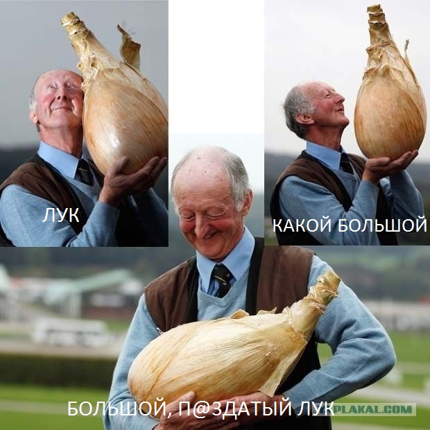 10 самых неожиданных находок, которые люди обнаружили у себя во дворе