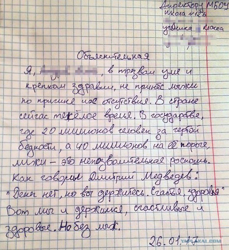 9175657.jpg