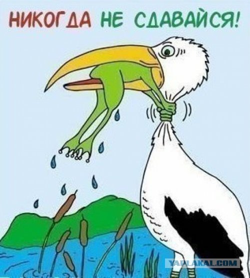 Пропавший в море у Пхукета россиянин найден живым: он сутки держался за буй