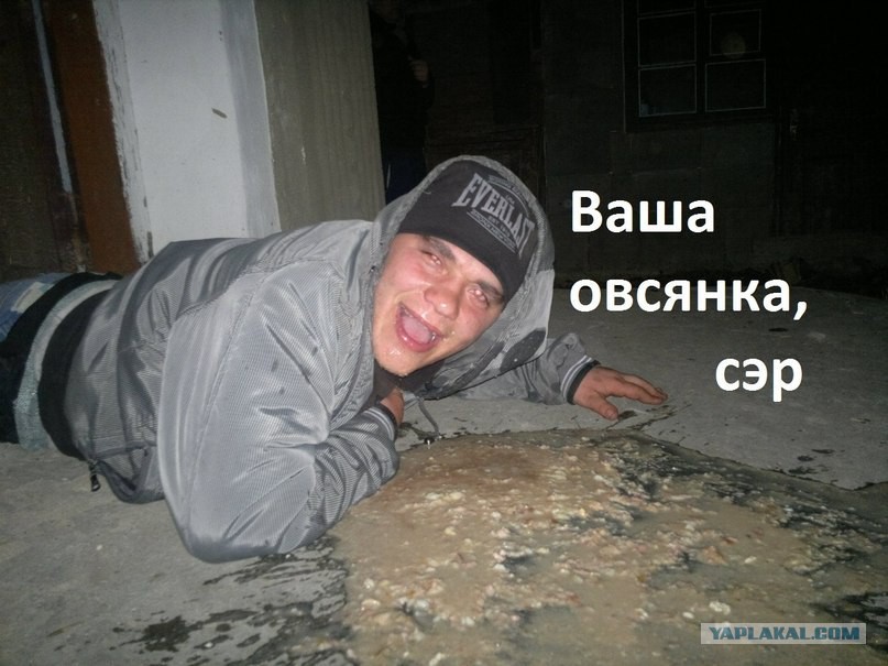 9579657.jpg