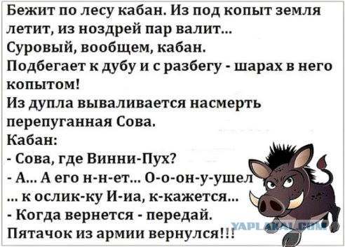 Прикольные картинки 12.06.2017