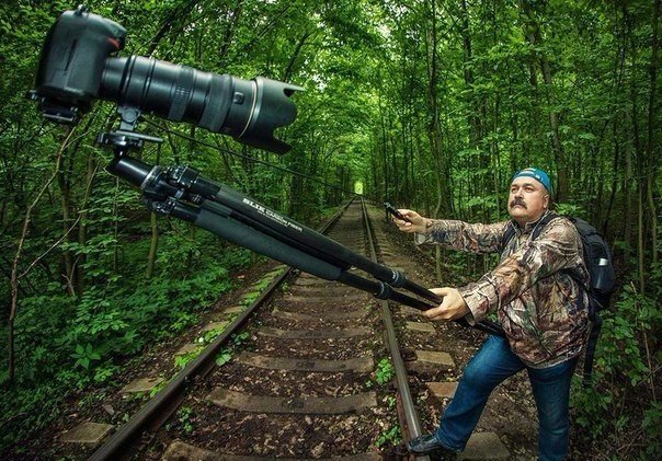 WTF: что тут происходит?
