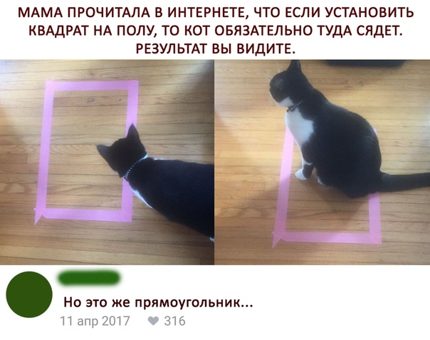 Бредзона