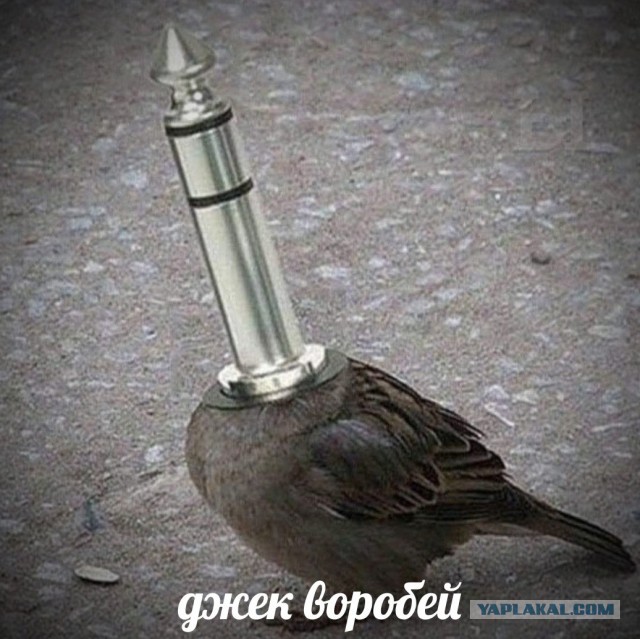 Бредзона 01.05.20