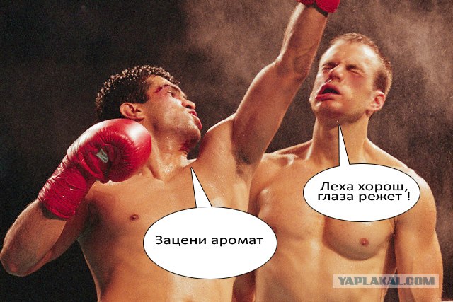 Нокаут