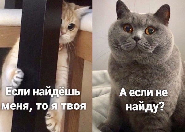 Картинки и мемы для настроения 007