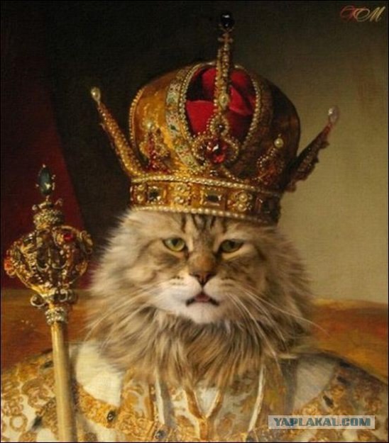 Жестокое обращение с животными ))