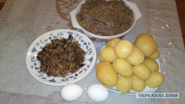 Картофельный рулет с мясным фаршем и грибами