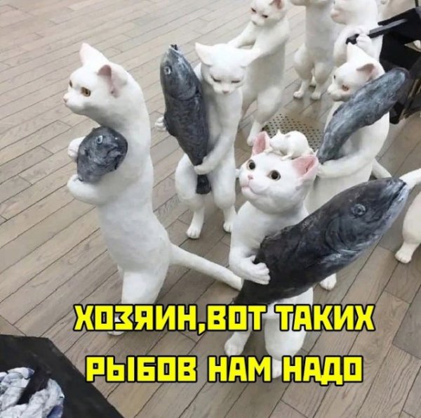 Прикольные и просто красивые картинки 12.10.2021