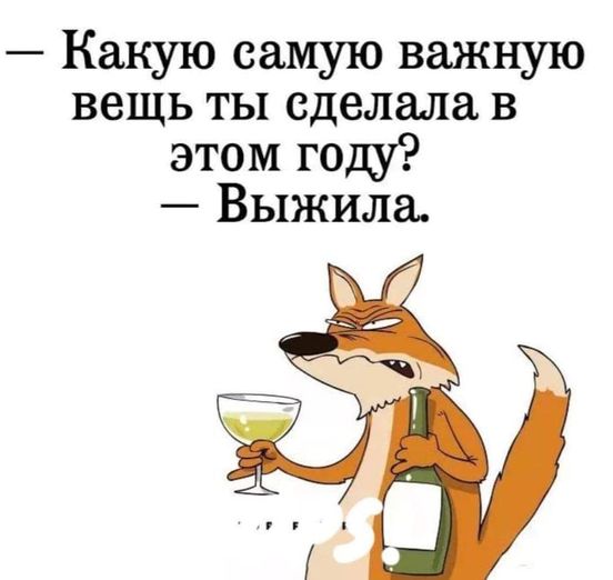Весёлый полтишок 27.12