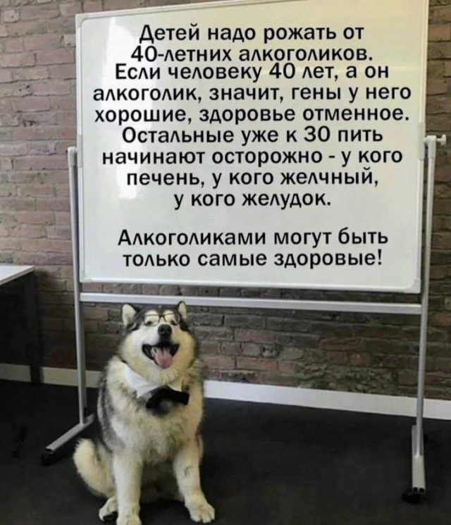 Картинки и мемы, всем прекрасных выходных