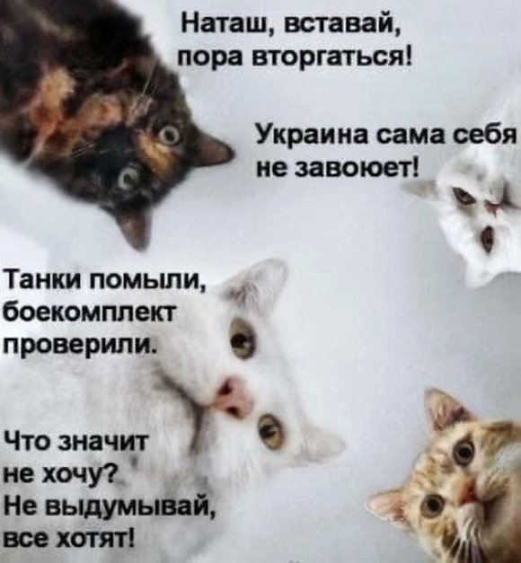 Украина сегодня