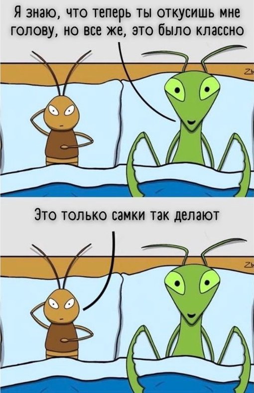 Так себе картинки 24.04.22