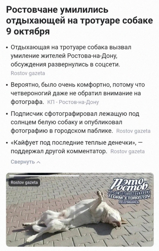 Картинки и мемы, всем хороших выходных