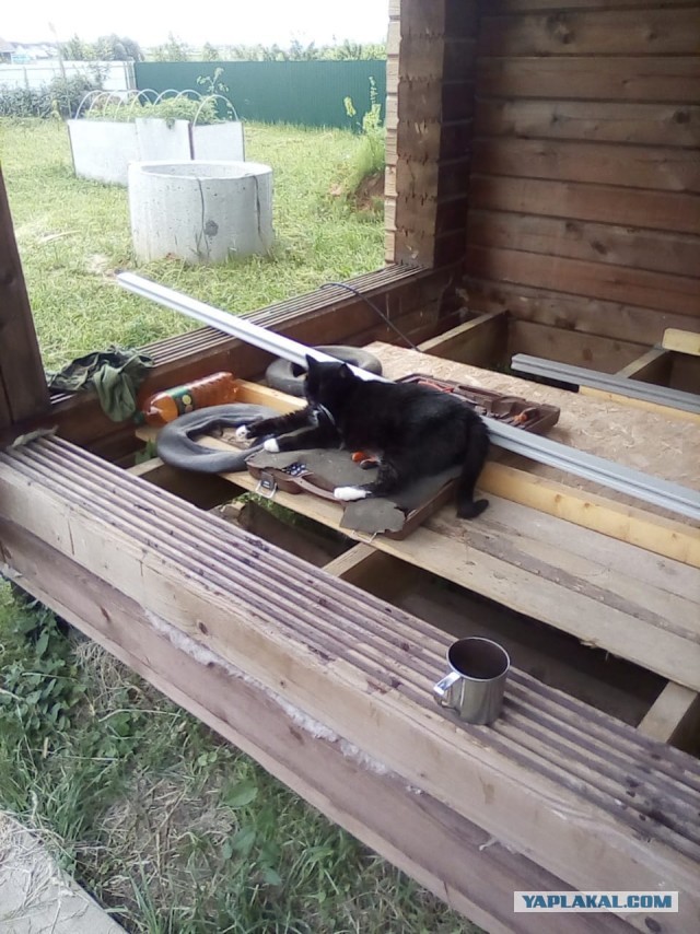 Моя неудача с грядками, может кто-то вынесет урок.