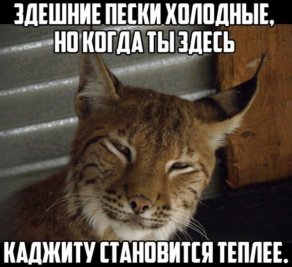 Выбирай⁠⁠