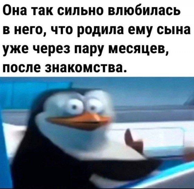 Немного забавных картинок от 23.10.2024